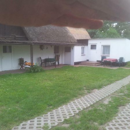 Fewo1 Born Kültér fotó