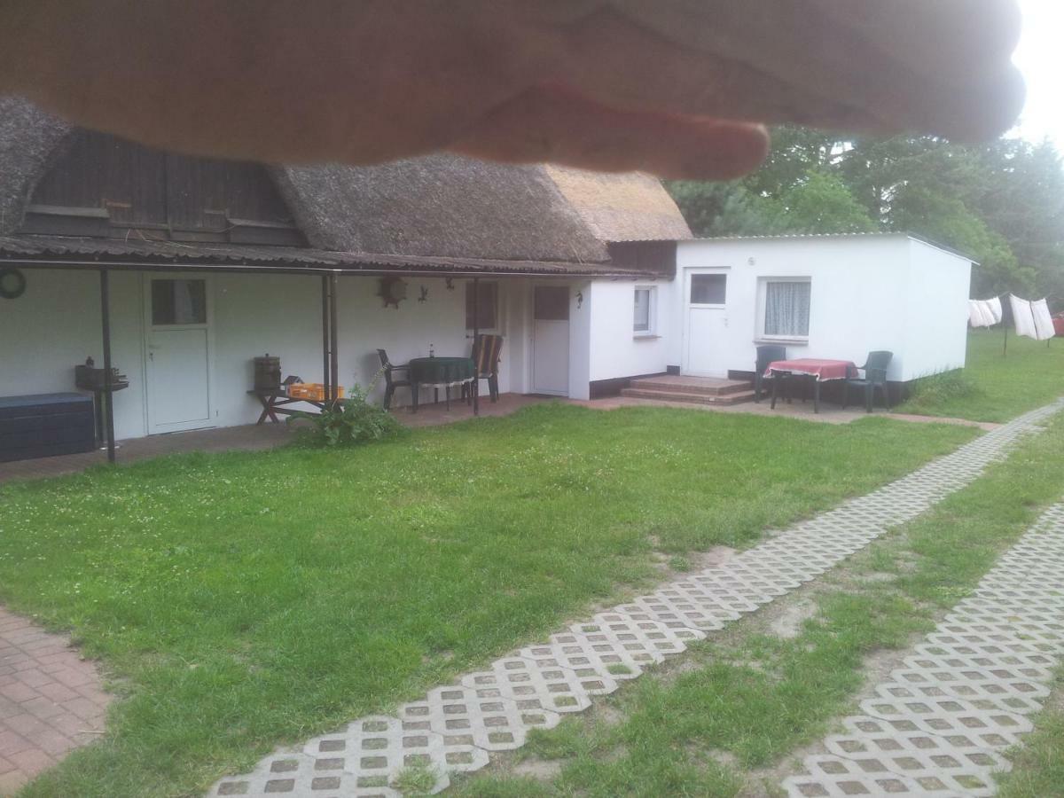 Fewo1 Born Kültér fotó