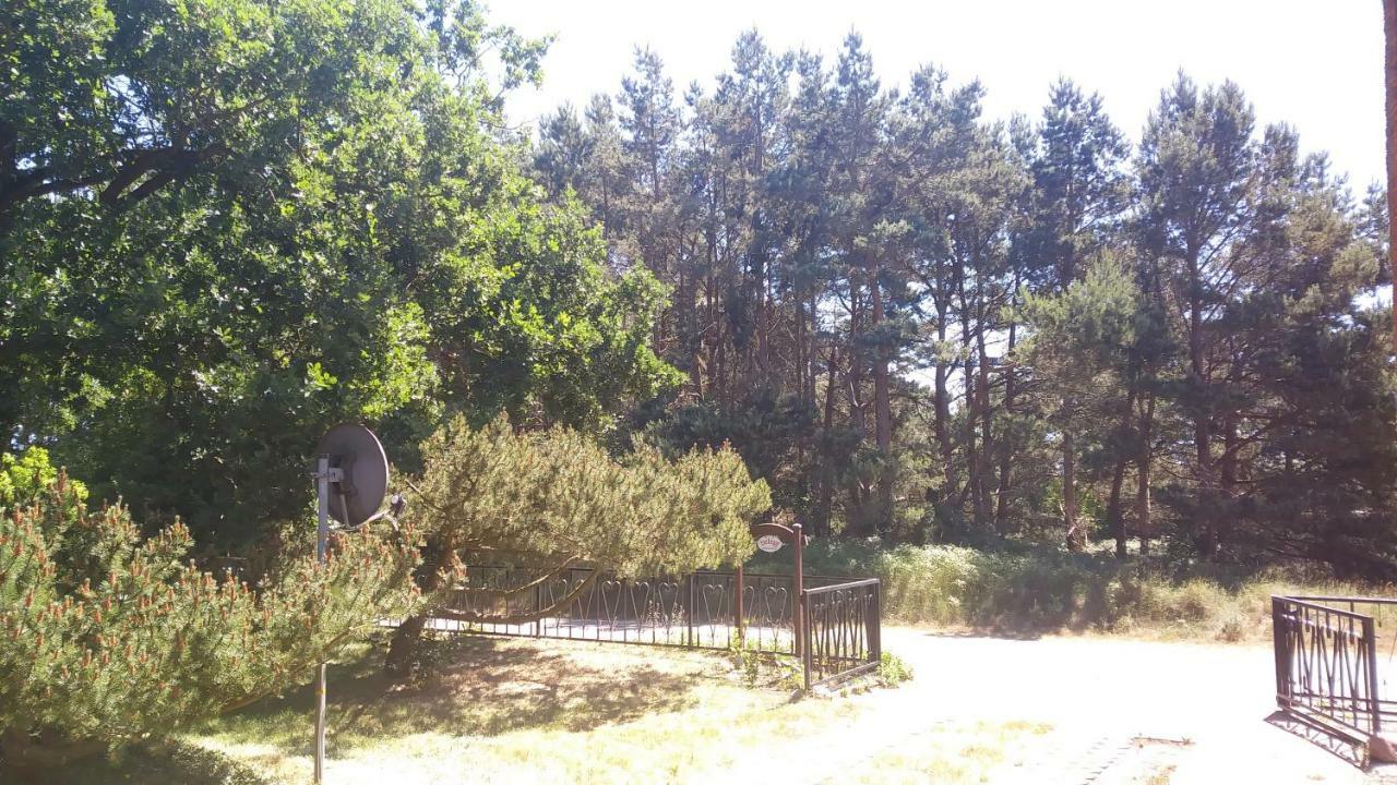 Fewo1 Born Kültér fotó